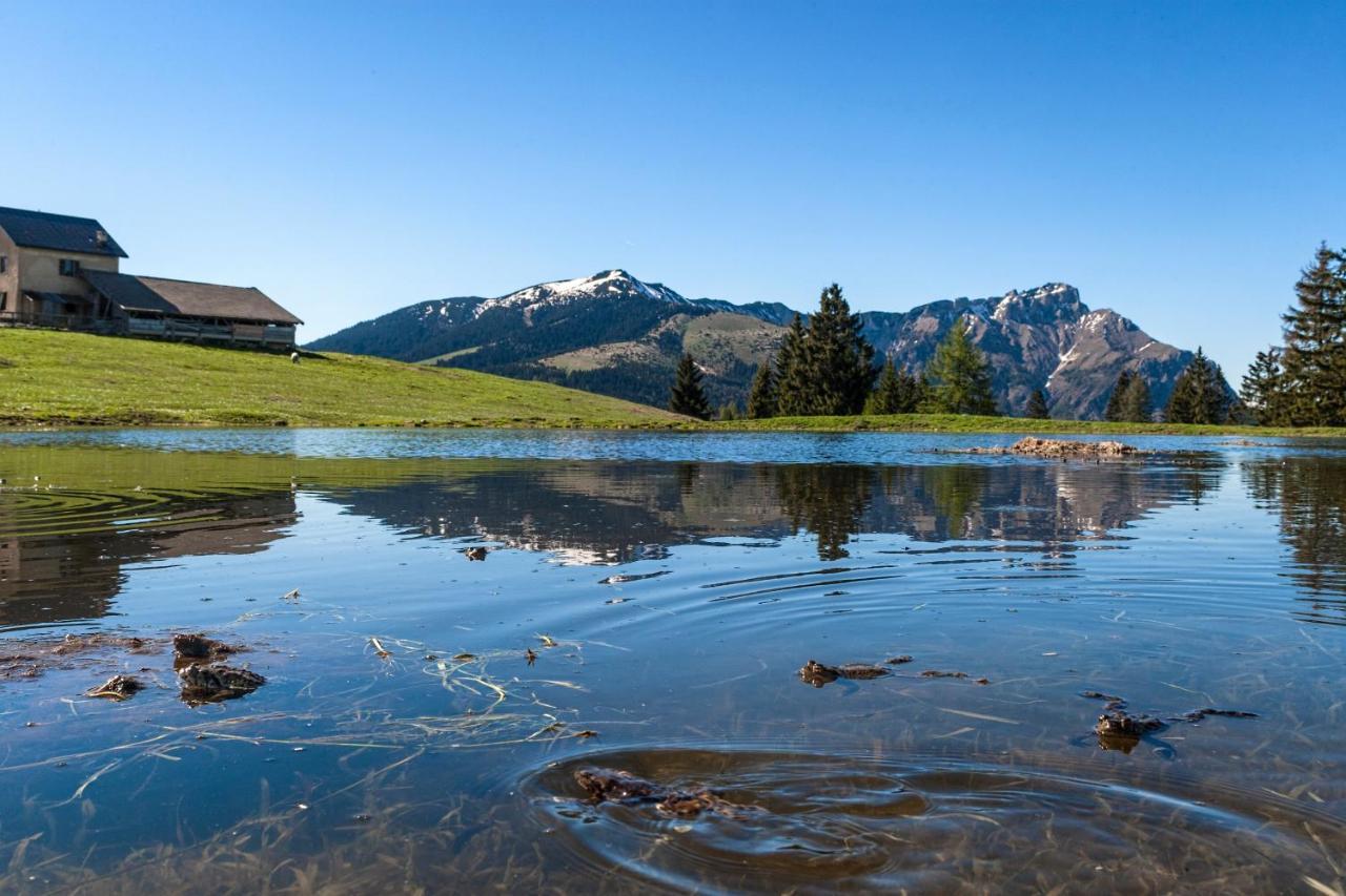 Hotel Martinella Folgaria Bagian luar foto